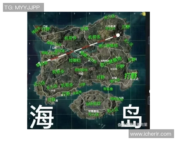 职业选手视角揭秘和平精英操作技巧与战术分析全攻略